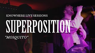 Superposition — Mosquito | Live from Knowhere Net Worth