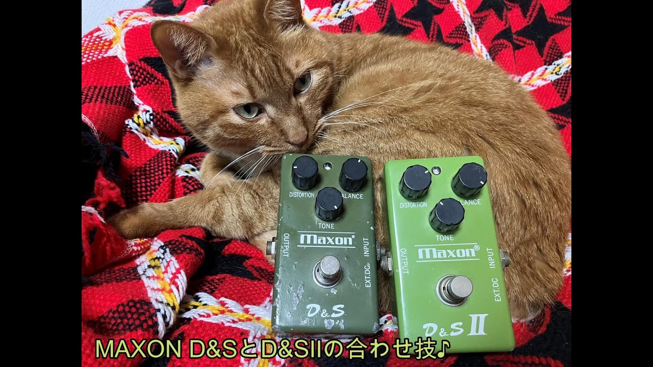 ギター D&S Maxon MAXONの名機 D&SⅡ初期、中期型を音出ししてみます♪[辺見さとし