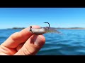 Fishing this micro lure in feeding frenzy