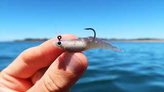 Fishing This Micro Lure In Feeding Frenzy