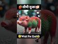 🍓लीची सुअर🐖 #shorts #trending #cat