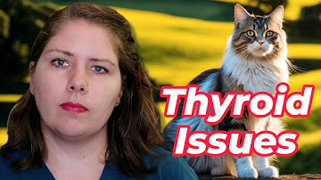 Hyperthyroidism: What You Need to Know | Vet