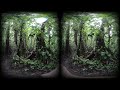 Hiking Through The Jungle of Costa Rica in 3D VR