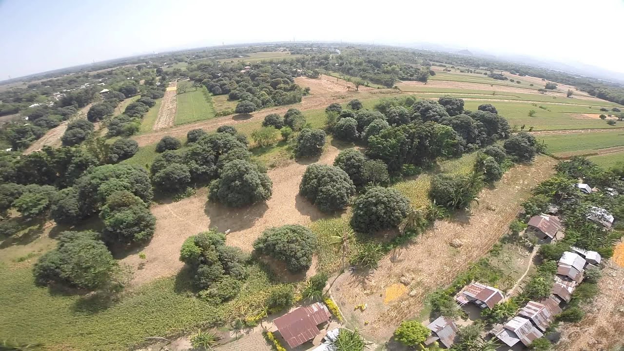 Tbs jello guard test