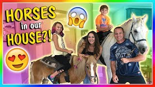 WHY DO WE HAVE HORSES IN OUR HOUSE? | We Are The Davises