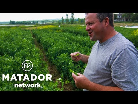 Video: Culinary Corps Vraagt om Vrijwilligers - Matador Network