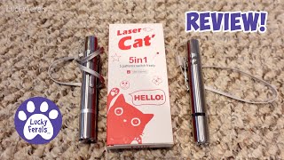 The Best Laser Pointer Cat Toy Ever! by Lucky Ferals 1,041 views 2 weeks ago 14 minutes, 4 seconds