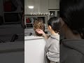 フクロウのジュニ君🦉