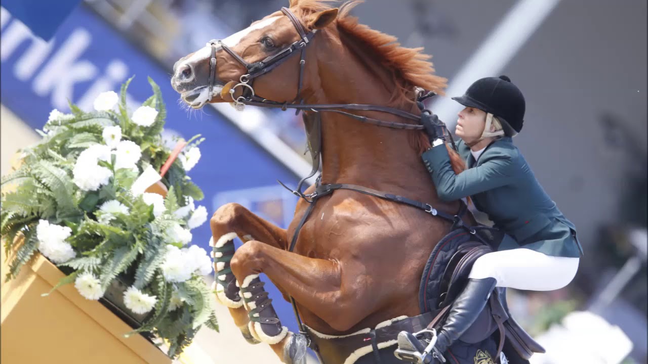 LoveHorses Body Bandages - Why do we love them? & Equestrian
