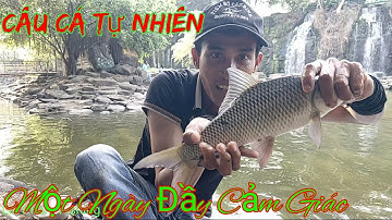 Câu Cá Tự Nhiên Ở Thác Đá Hàn Trúng Phải Bầy Tàu Ngầm Khủng