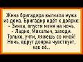 Как бригадир ночью доярке 3асаguл Сборник свежих анекдотов Юмор Как бригадир ночью доярке 3асаguл Сборник свежих анекдотов Юмор