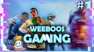 Gaming Compilation Weeboos
