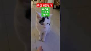 김건희 김문수 캣신예언!!!! #대선 #경청투어 #김건희#김건희
