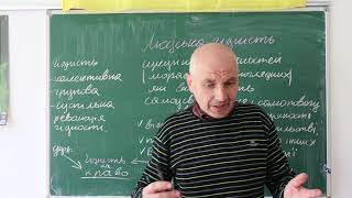 Громадянська освіта, Людська гідність і права людини