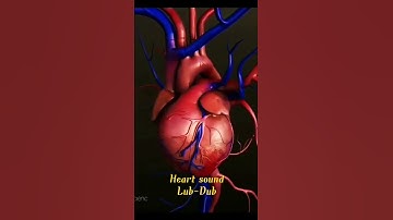 Thumbnail of Heart sound...Lub-Dub..          Heartbeat......