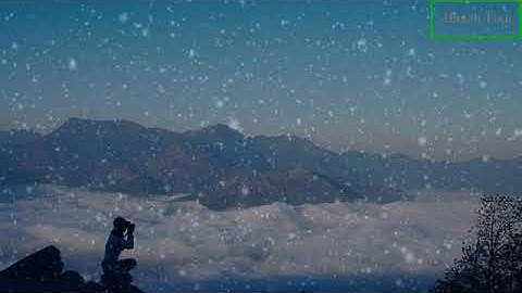 ProShow Slideshow  Hiệu ứng tuyết rơi