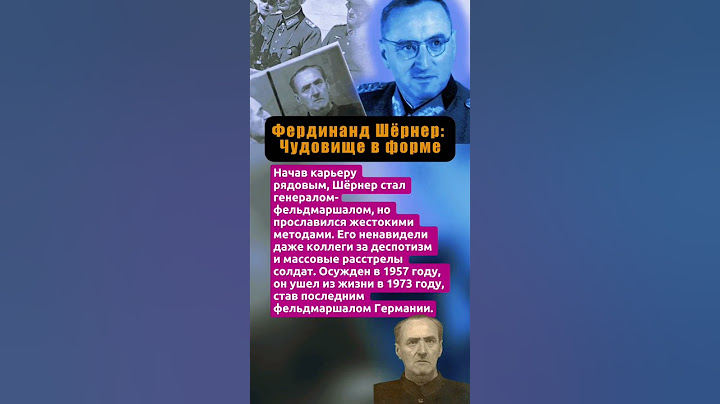«ЭТО НЕВЕРОЯТНО! ВЫ ХОТИТЕ МЕНЯ РАССТРЕЛЯТЬ?! Я ВСЮ ВОЙНУ БЫЛ НА ФРОНТЕ, ВОТ МОИ НАГРАДЫ!» #факты