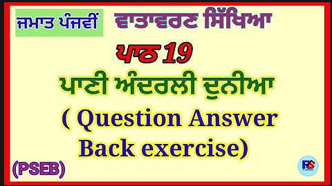 Class 5th | EVS | Lesson 19 | PSEB | Pani Andarli Duniyaa | Question Answer