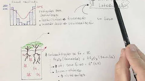 Quais são as características do solo do Cerrado?