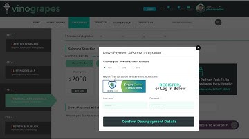 Techstars Application: vinograpes.com product demo