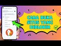 Rahasia Menemukan Video dan Situs yang Diblokir tanpa VPN Terbaru 2025