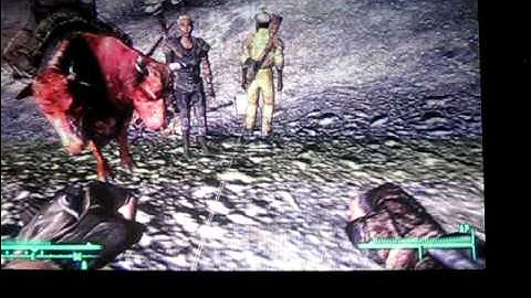 XBox 360 Graphics Glitches - Fallout 3