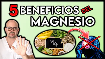 ¿Qué ocurre si se toma magnesio todos los días?