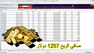 ربح 1257 من تداول الذهب الأسبوع من 15 مايو 2023