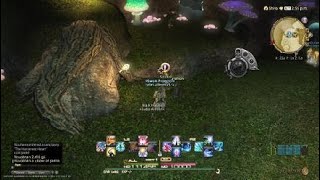 Final Fantasy XIV ShadowBringers: The Hardened Heart