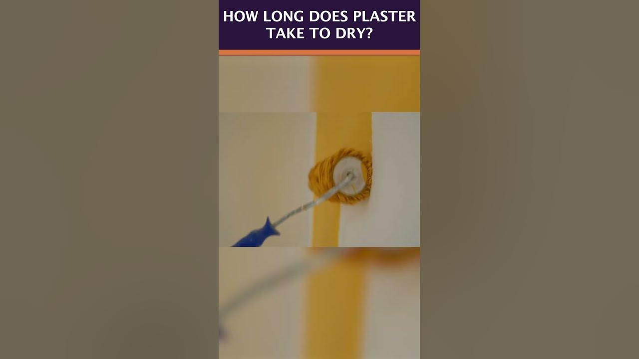 How Long Does Plaster Take To Dry shorts YouTube
