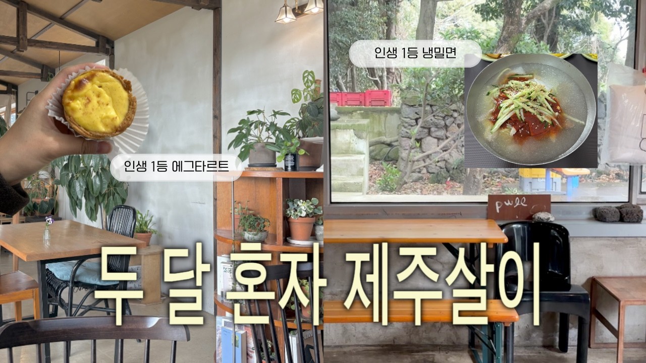 🍊 제주살이 인생 스팟 11군데 오픈 · 제주도 10% 결제 환급받는 꿀팁 | 베이커블, 탐나는전, 희신이네 등..