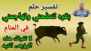 تفسير رؤية حلم بقره تنطحني وتهاجمني في المنام /أبوزيد الفتيحي Abozaid