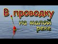 Рыбалка в проводку на малой реке с берега.