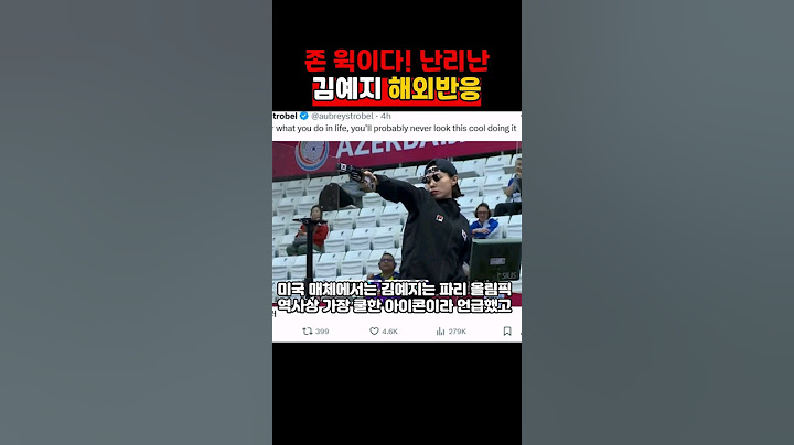 일론 머스크도 반한 현실판 존 윅 김예지 해외반응