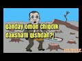 Qanday omon chiqdik dahshatli qishdan?!