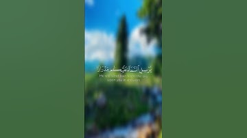 #سورة_هود#قران_كريم #قران#ياسر_الدوسري #تجويد#رعد_الكردي