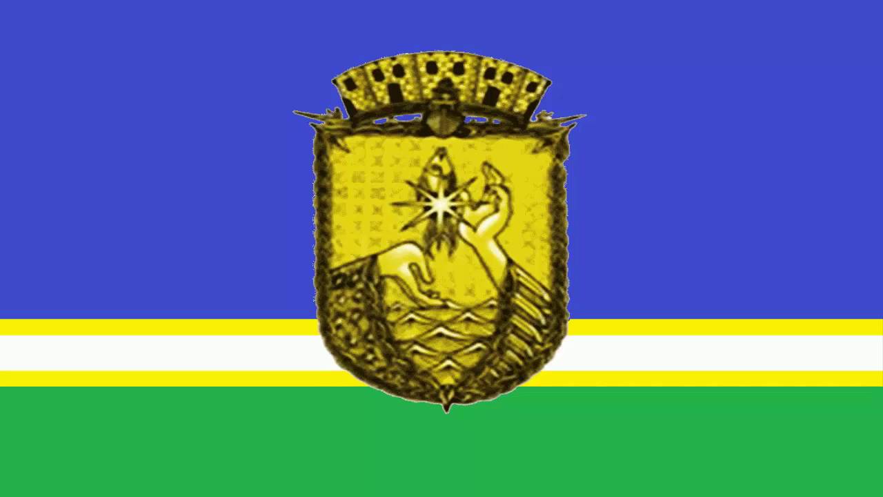 Bandeira de São Gabriel da Cachoeira - Amazonas