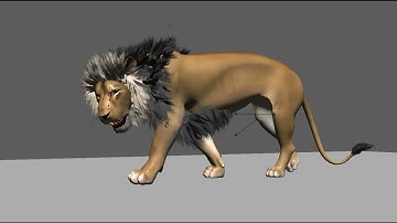 Lion- Quadruped Animation Test