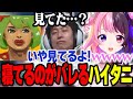 CRカップスクリム中チームメンバーに寝てるのがバレてしまうハイタニ【ぷるる切り抜き/スト6/高木/ボンちゃん/XQQ/釈迦/ハイタニ】