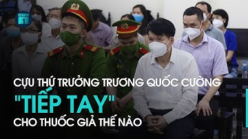 Vụ VN Pharma: Cựu thứ trưởng Y tế Trương Quốc Cường "tiếp tay" cho thuốc giả | VTC1