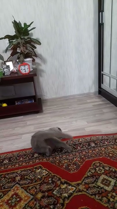 Ужастики!!!😱👿 - YouTube