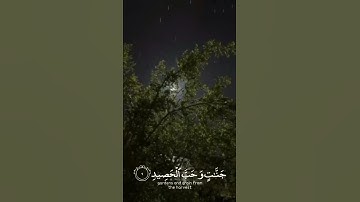 ونزلنا من السماء ماءاً مباركاً-القارئ إسلام صبحي..