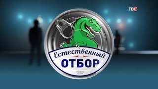 Дайджест. Естественный отбор Дайджест. Естественный отбор