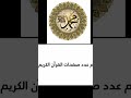 كم عدد صفحات القرآن الكريم 