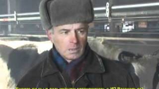 MPEG1 arbaika