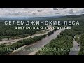 Селемджинские леса в Амурской области