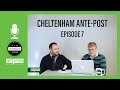 Cheltenham Festival 2020  Ante-Post Betting Tips  Episode 7