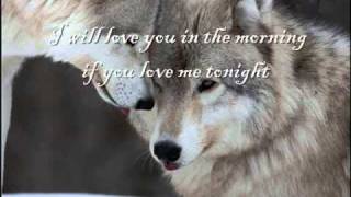 The Promise ~ Sea Wolf (lyrics)