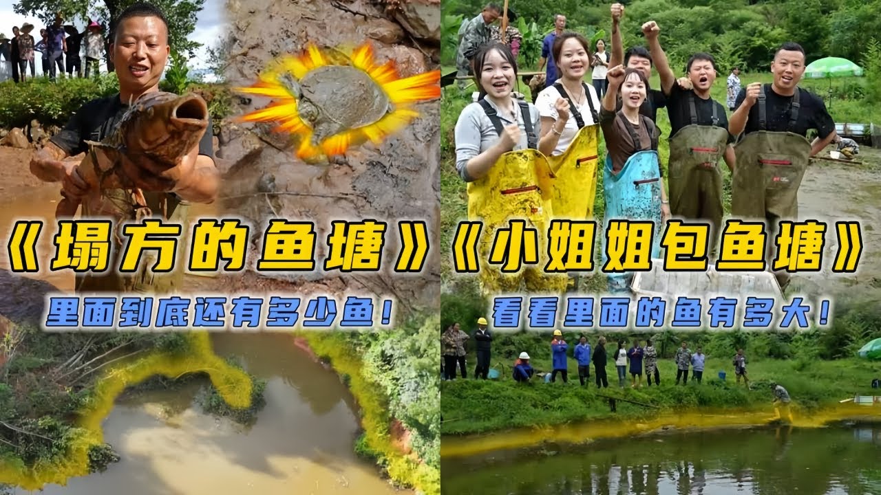 小飞哥花2000元包下塌方的鱼塘，里面到底有多少鱼？｜帮粉丝小姐姐包下口鱼塘一起抓鱼，没想到小姐姐们抓鱼这么厉害？