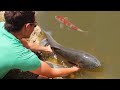 Catching MASSIVE CANAL WHALES in HIDDEN Koi pond!!